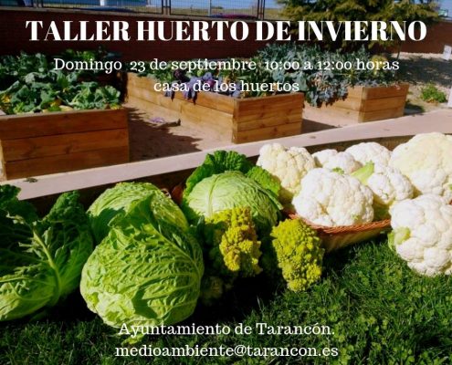 Taller Huerto invierno