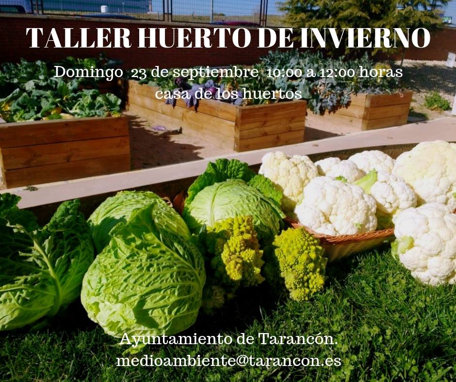 Taller Huerto invierno