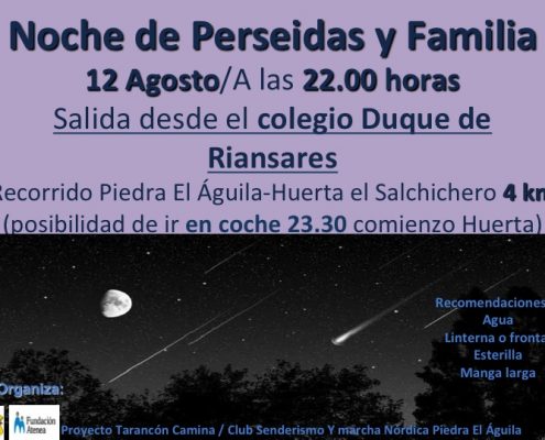 Noche-perseidas2016