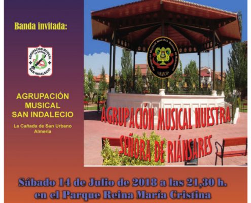 FESTIVAL DE BANDAS DE MUSICA TARANCON