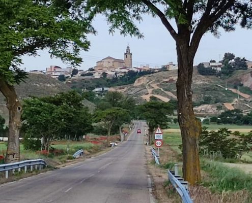 FOTO CAMINO DE LA ERMITA